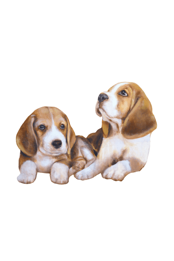 SILITYSKUVA BEAGLET 15x12cm ruskea